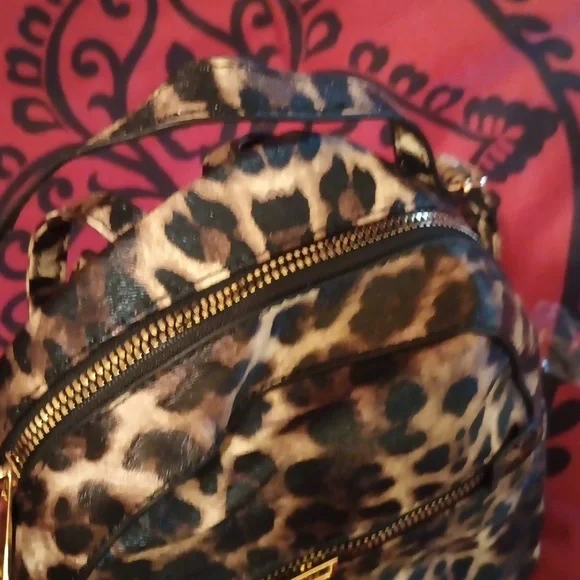 Backpack - Picture 3 of 3